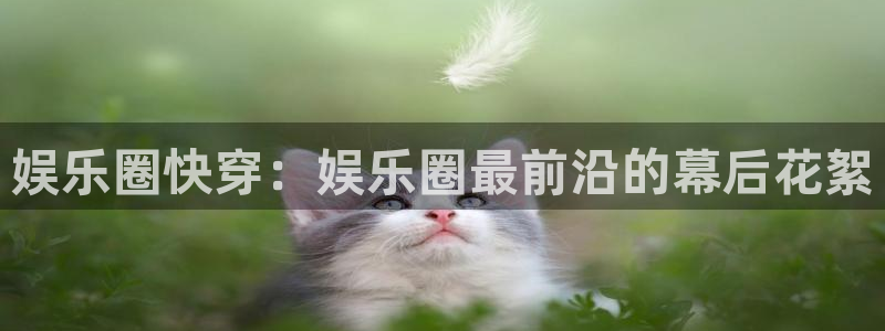 精聚彩研画材有限公司