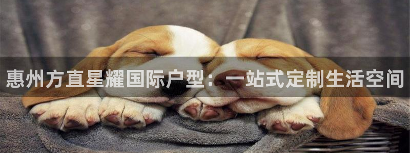 聚彩官网登录入口