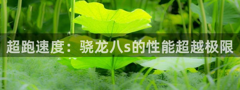 聚彩购彩welcome