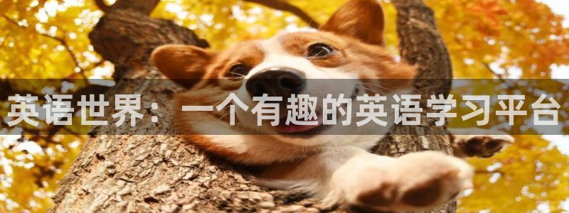 聚彩网app下载