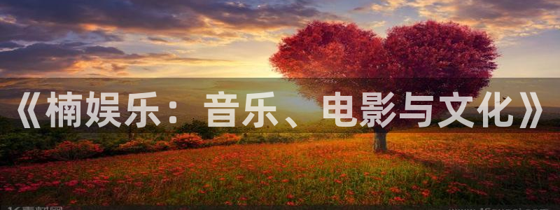 澳门资料聚彩堂