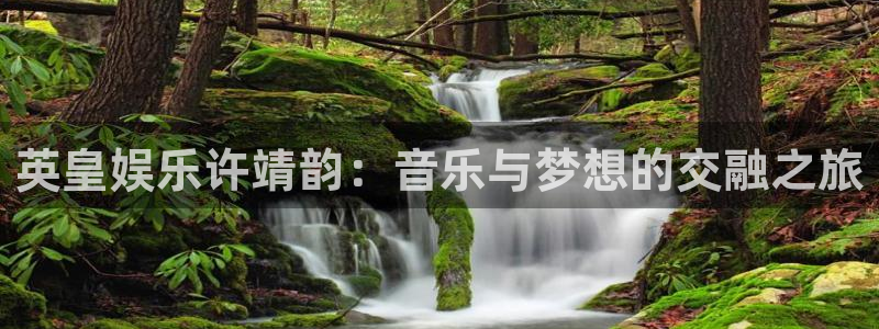 聚彩网app