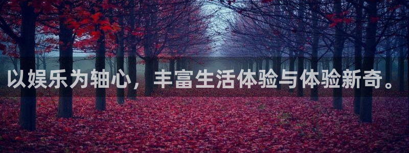 聚彩汇