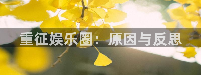 聚彩app官方正版：重征娱乐圈：原因与反思