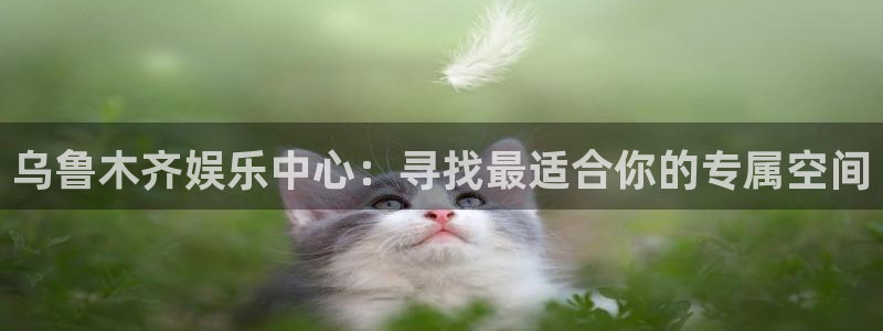 聚彩科技：乌鲁木齐娱乐中心：寻找最适合你的专属空间