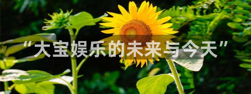 聚彩：“大宝娱乐的未来与今天”