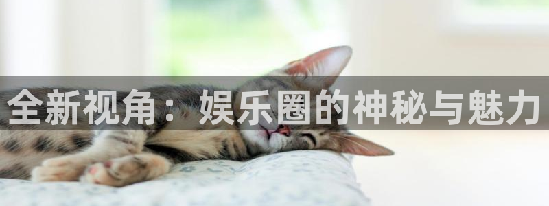 聚彩网app下载：全新视角：娱乐圈的神秘与魅力