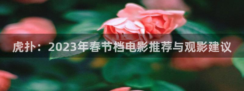 新南聚彩荟购物中心：虎扑：2023年春节档电影推荐与观影建议