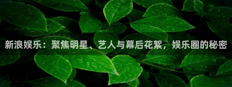 聚彩资料：新浪娱乐：聚焦明星、艺人与幕后花絮，娱乐圈的秘密