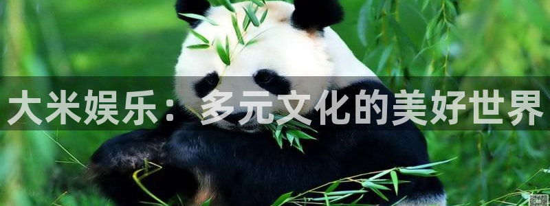 聚彩官网正版：大米娱乐：多元文化的美好世界