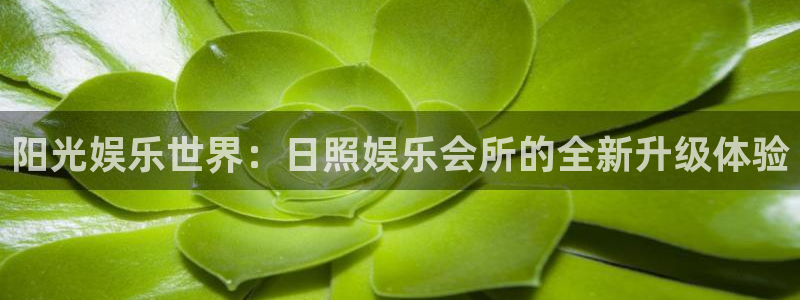 聚彩官网登录入口：阳光娱乐世界：日照娱乐会所的全新升级体验