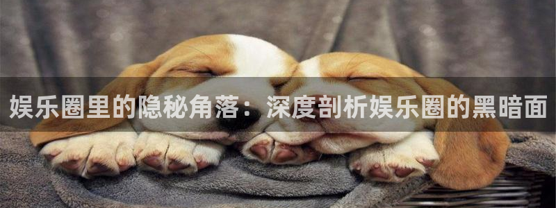 聚彩官方网站入口：娱乐圈里的隐秘角落：深度剖析娱乐圈的黑暗面