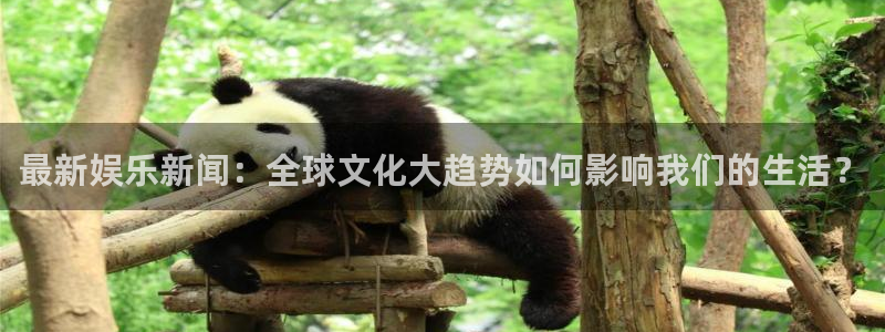 聚彩电器：最新娱乐新闻：全球文化大趋势如何影响我们的生活？