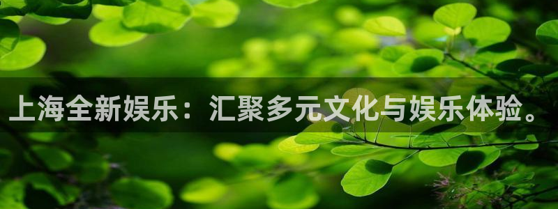 云南聚彩印刷有限公司：上海全新娱乐：汇聚多元文化与娱乐体验。