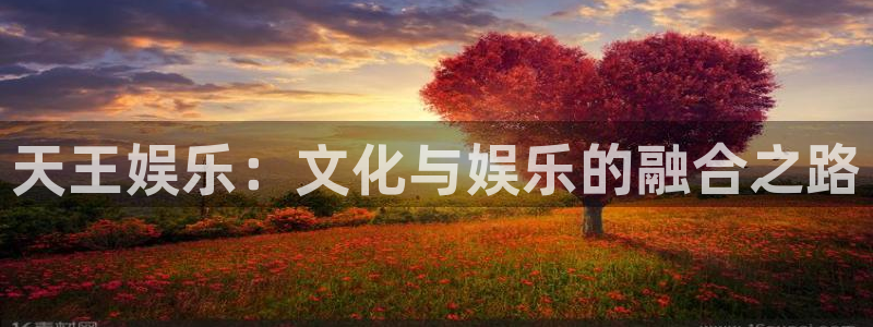 聚彩app官方正版：天王娱乐：文化与娱乐的融合之路