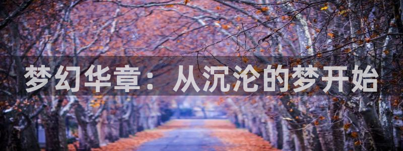 聚彩公司怎么样：梦幻华章：从沉沦的梦开始