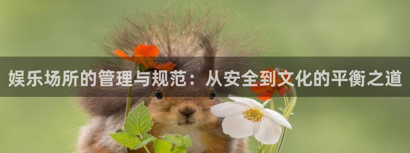 聚彩堂免费资料库入口：娱乐场所的管理与规范：从安全到文化的平衡之道