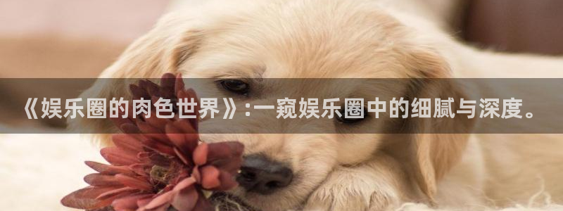 聚彩公司怎么样：《娱乐圈的肉色世界》:一窥娱乐圈中的细腻与深度。