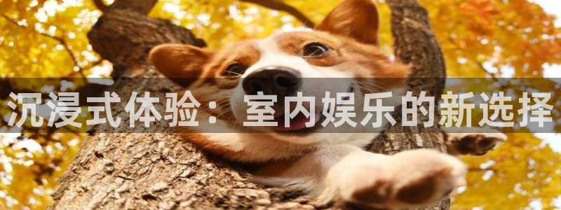 聚彩大发快三：沉浸式体验：室内娱乐的新选择
