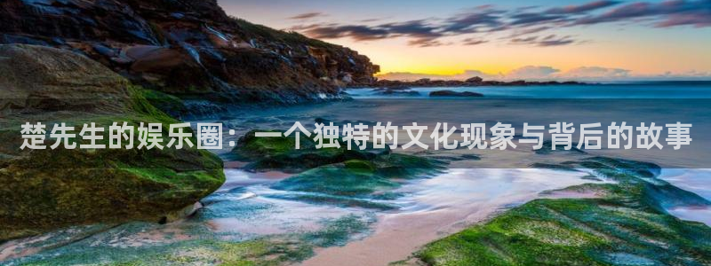 聚彩官方网app官方正版：楚先生的娱乐圈：一个独特的文化现象与背后的故事